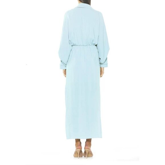 NWOTD Alexia Admor Size 2 KACEY MAXI DRESS light Blue MSRP $226 - Picture 8 of 14